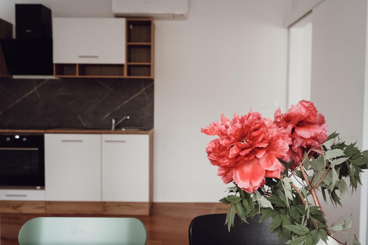 Central Apartment Maister Kranj Ngoại thất bức ảnh
